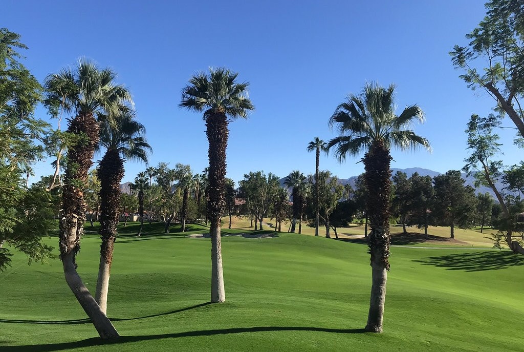 Marriott's Desert Springs Villas I Outside Golf