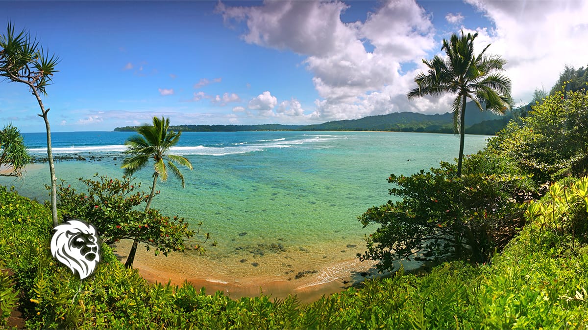 bluegreen resorts in hawaii